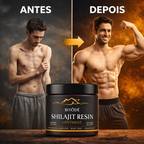 Shilajit 100% Puro 💎 Fuente de Energía Vital del Himalaya